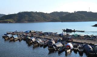 2024钱塘江大潮时间表 2024钱塘江大潮时间表