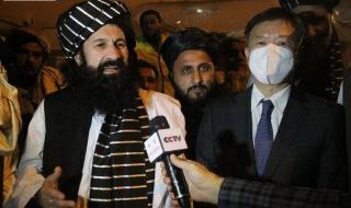 马斯克为何用中文发七步诗 马斯克为何用中文发七步诗