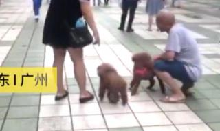 高考结束后的第一件事 高考结束后的第一件事