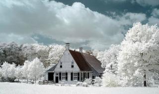 本来无一物何处惹尘埃