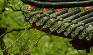 本来无一物何处惹尘埃