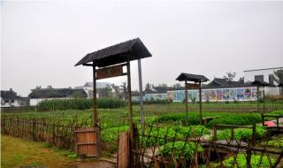 qq农场种什么赚钱最快 qq农场种什么赚钱最快